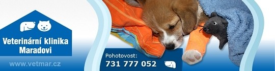 vkm..jpg