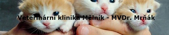 vtk-mrnak.jpg