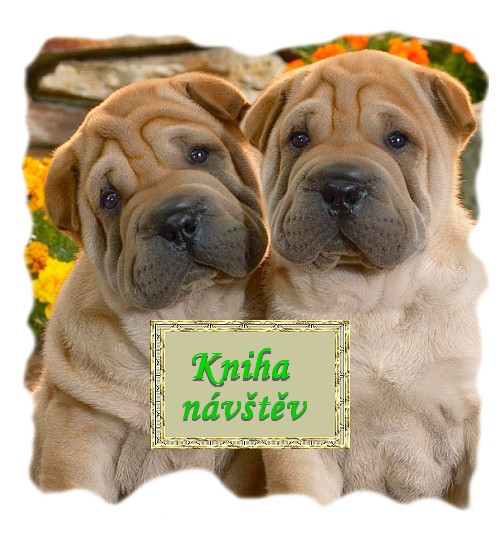 cute-and-funny-dog-wallpaper-kniha..jpg